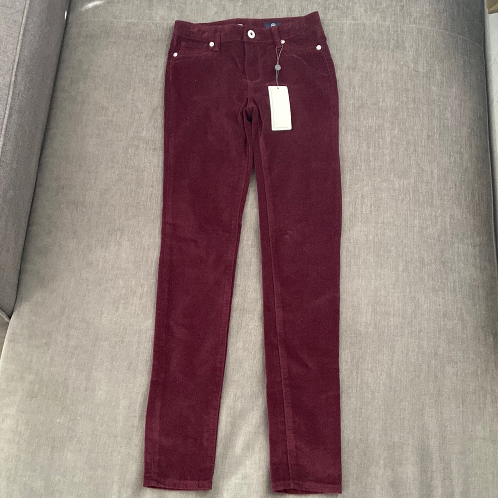 AG Adriano Goldschmied Twiggy Plush Super Skinny Pants